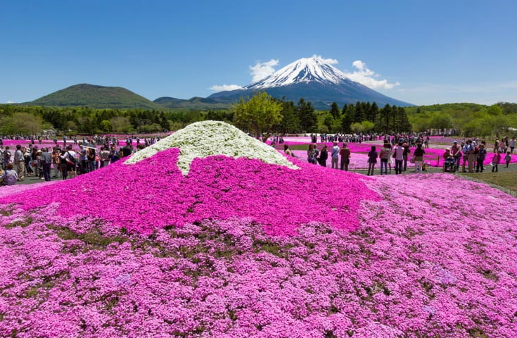 SNS映え抜群の絶景を堪能