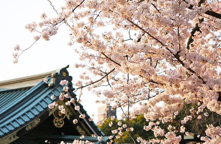靖国神社(イメージ)