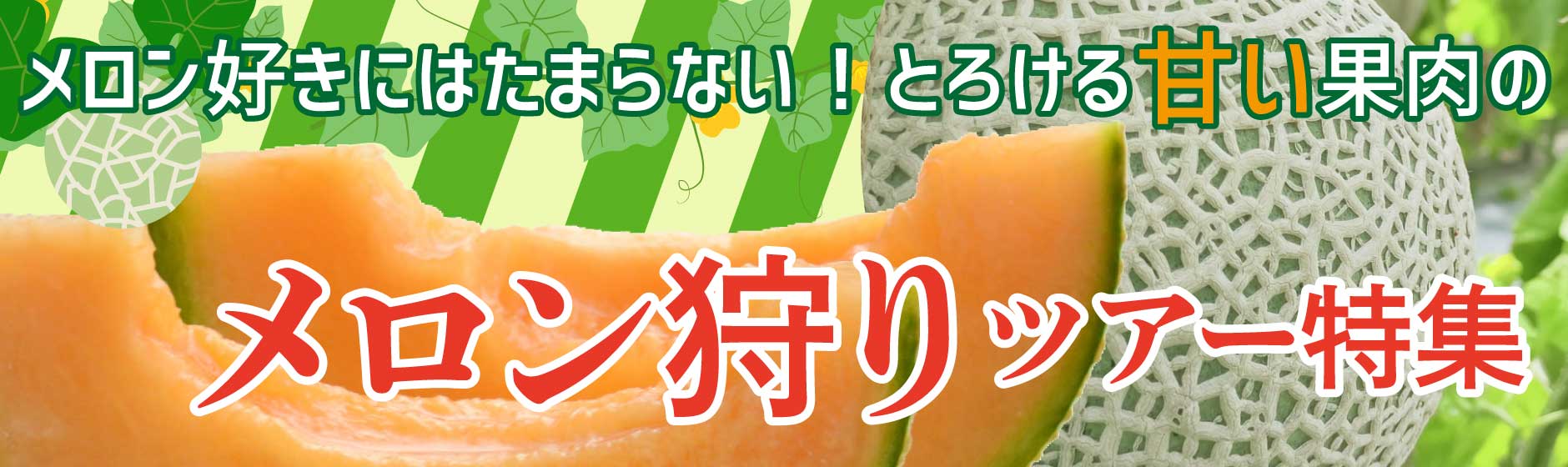 バスツアー 日帰り 宿泊 格安バス専門予約サイト ベストワンバスツアー バスツアー 日帰り 宿泊 格安バス専門予約サイト ベストワンバスツアー