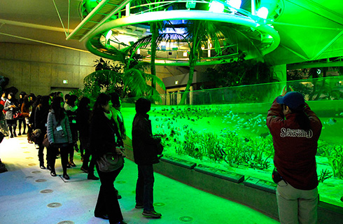 新宿発 絶品海鮮浜焼き 握り寿司10種食べ放題と鴨川シーワールドでたっぷり3時間滞在 海の王者シャチ イルカ アシカ ベルーガによる大迫力のパフォーマンスショーを間近で鑑賞 格安ベストワンバスツアー