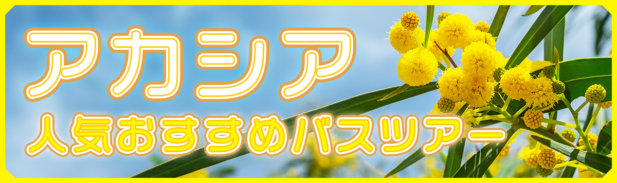 【アカシア】日帰り・宿泊バスツアー人気おすすめ３選