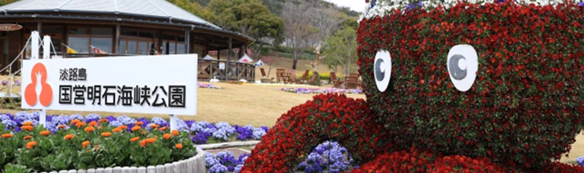 【淡路島】明石海峡公園へ行くお花いっぱいの女子旅バスツアー！季節の見どころ＆映えスポット完全ガイド