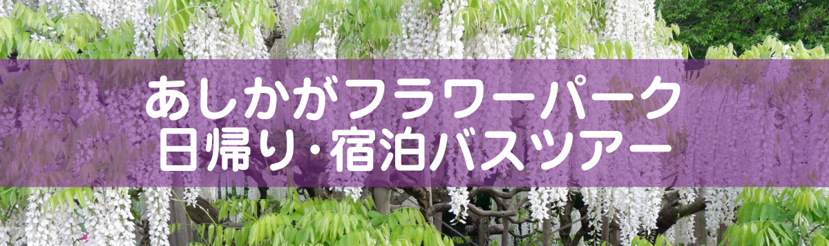 あしかがフラワーパーク 日帰り・宿泊バスツアー