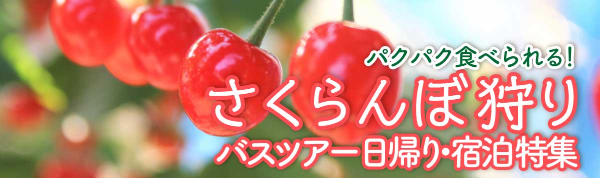 さくらんぼ狩り 日帰り 宿泊バスツアー 格安ベストワンバスツアー