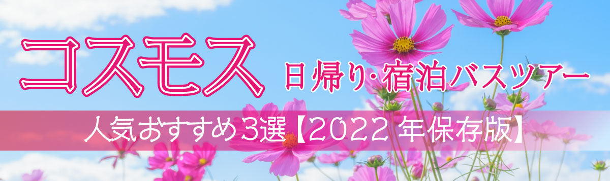 【コスモス】日帰り・宿泊バスツアー人気おすすめ３選【2022年保存版】