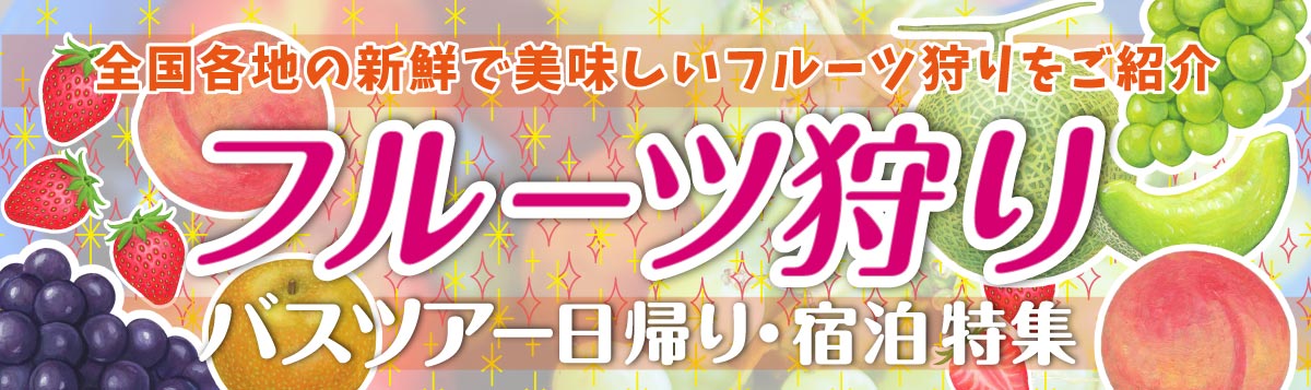 銀山温泉 バスツアー 日帰り・宿泊