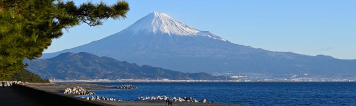 海・山・空から富士山を独り占め!清水みなとクルーズと絶景を巡る大満足の女子旅ガイド