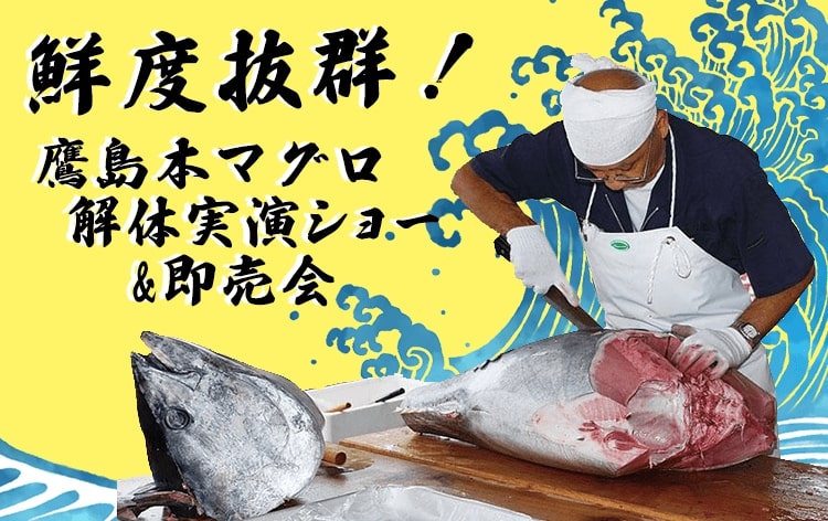 全日程でマグロの解体実演ショーと即売会にご招待!