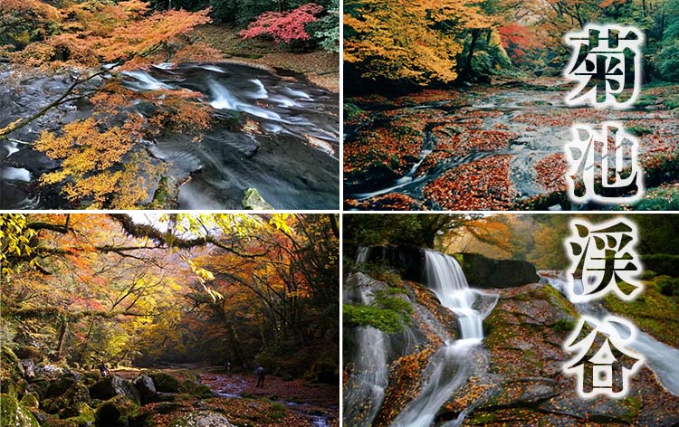 【菊池渓谷】「日本名水100選」にも選定。渓流に映える紅葉が美しい紅葉の名所。
