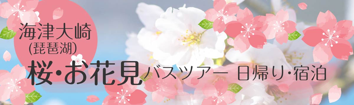 海津大崎（琵琶湖） 桜・お花見バスツアー日帰り・宿泊