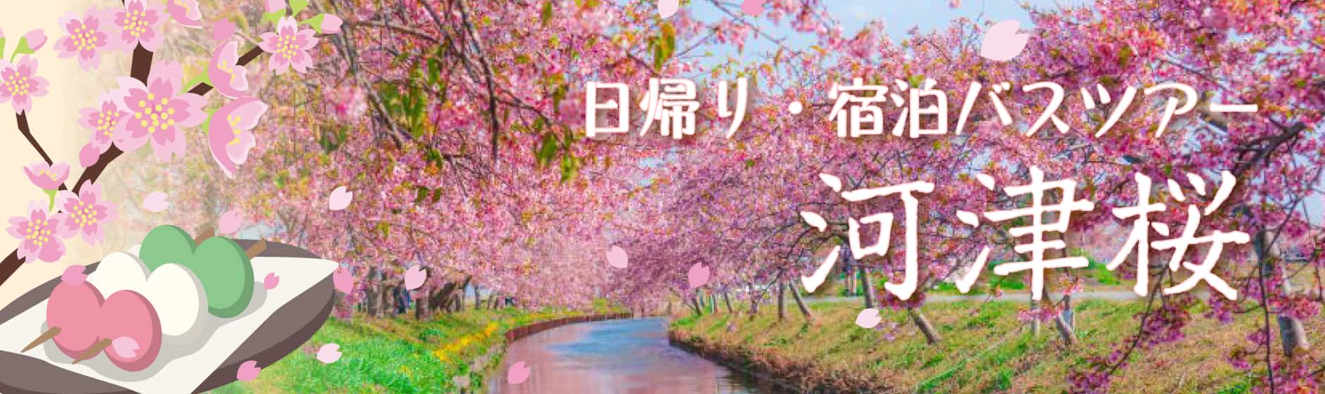 河津桜おすすめ日帰り・宿泊バスツアー