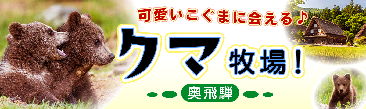 奥飛騨くま牧場！可愛いこぐまに会える日帰り・宿泊バスツアー