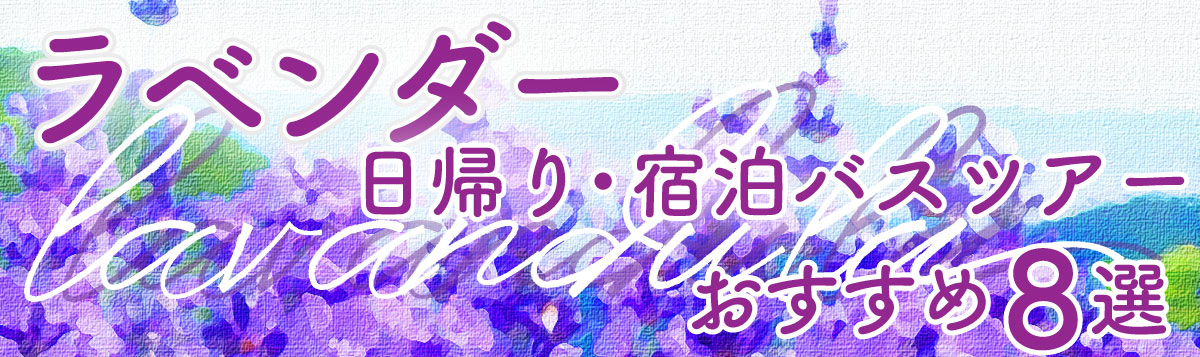 【ラベンダー】日帰り・宿泊バスツアー おすすめ８選