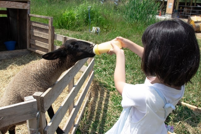 有名な観光地に行かなくても密を避けて楽しめる