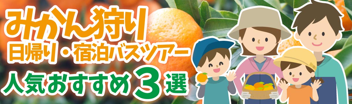 【みかん狩り】日帰り・宿泊バスツアー 人気おすすめ３選