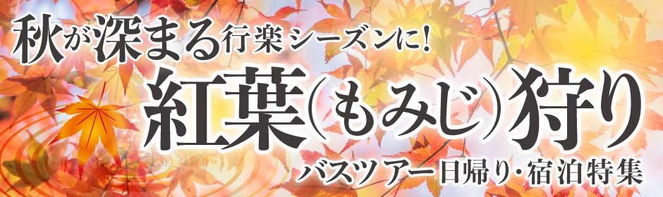 バスツアー会社とは ベストワンバスツアー