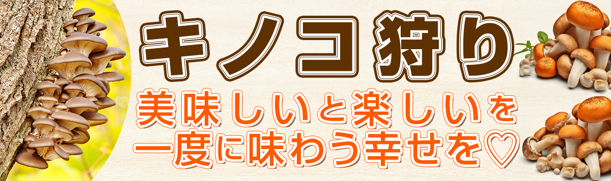 日帰り・宿泊バスツアーでキノコ狩り！美味しいと楽しいを一度に味わう幸せを♡