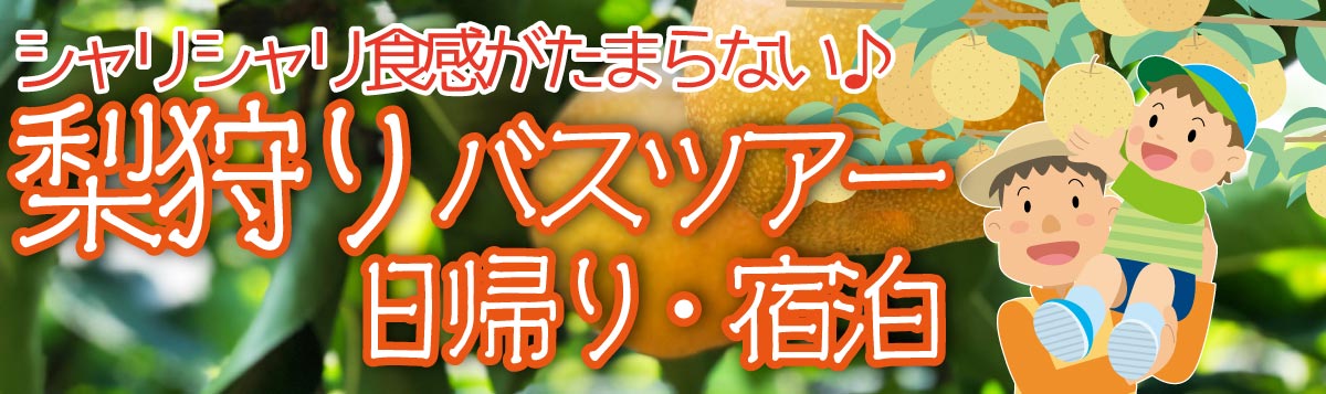 【梨狩り】日帰り・宿泊バスツアー人気おすすめ３選