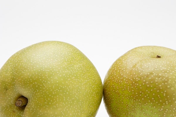 梨狩り 日帰り 宿泊バスツアー 格安ベストワンバスツアー