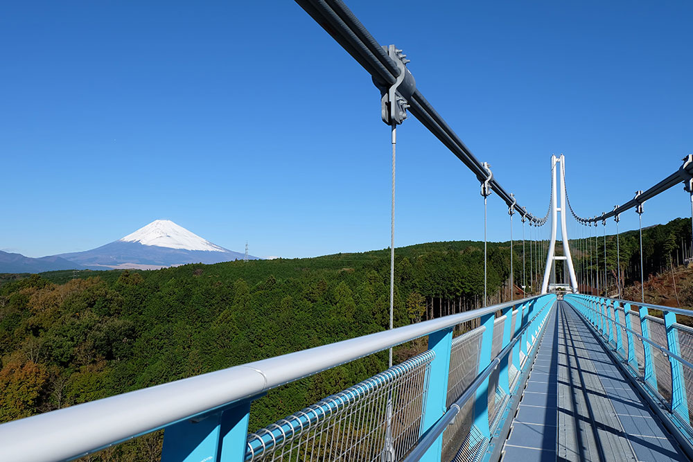 雪化粧した世界遺産『富士山』の大パノラマを日本最長のつり橋『スカイウォーク』から絶景体験!夕食はカニやステーキなどシェフ自慢のバイキング!ギュッと満喫♪『箱根・鎌倉・江の島』2日間