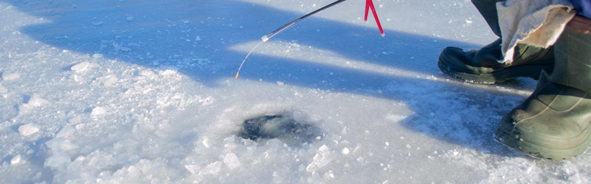 【首都圏発】ワカサギ釣り バスツアー完全ガイド｜初心者OK・日帰りで楽しめるおすすめ体験を徹底紹介
