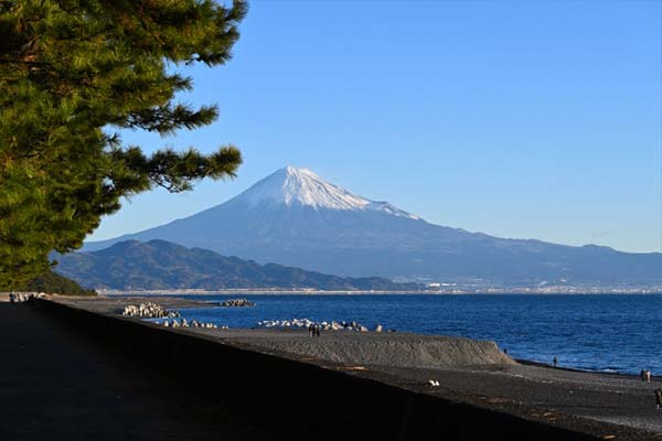 富士山清水みなとクルーズ
