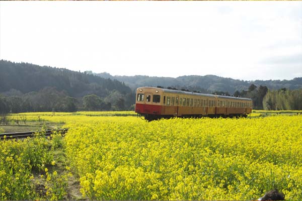小湊鉄道