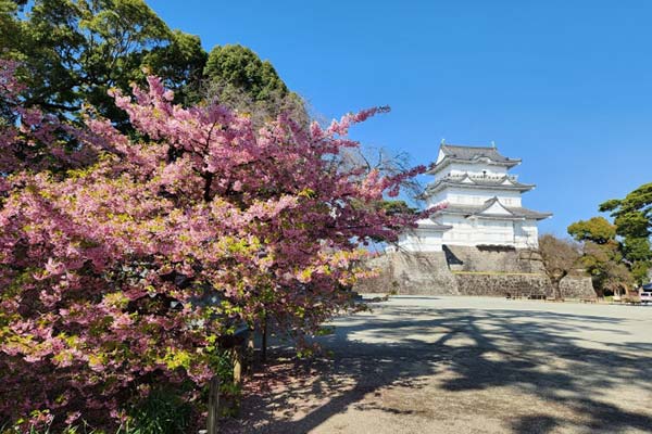 小田原城址公園