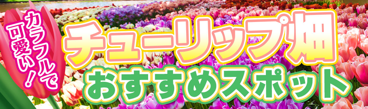 【日本全国】カラフルで可愛いチューリップ畑！子連れ・家族・ファミリー揃って楽しめるおすすめスポット28選